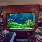 Aquarium 1200 litres - Restaurant